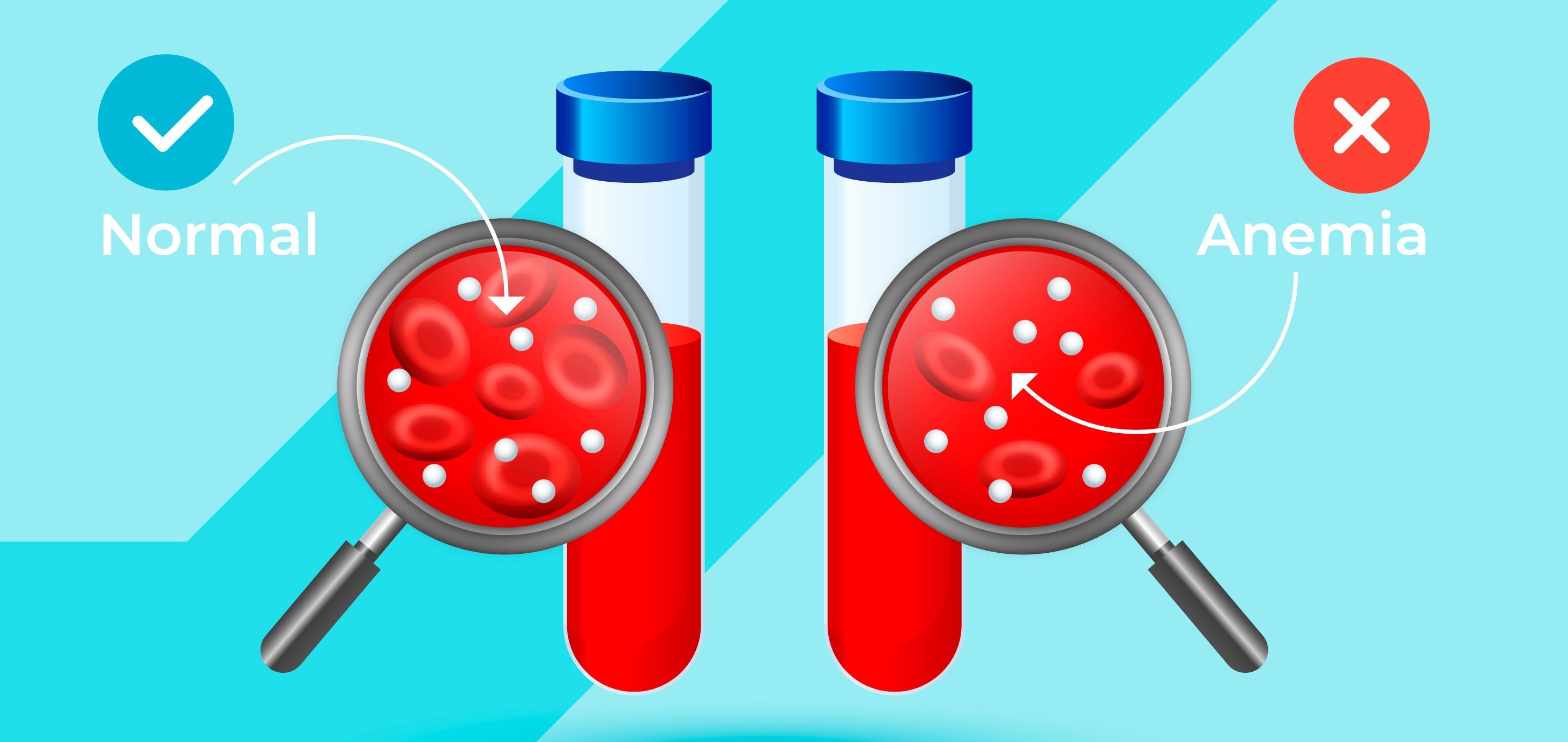 10796247_4555719 (1).jpg